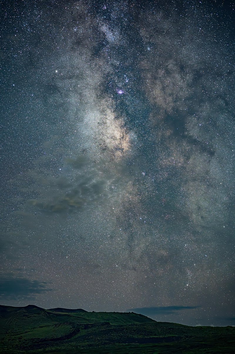 Outdoor Starlit Gardens